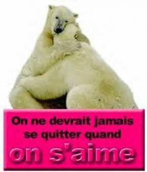 laisser des coms